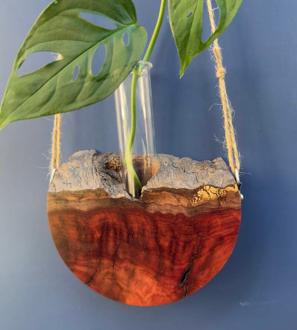 Hanging timber vase - Red Gum Burl