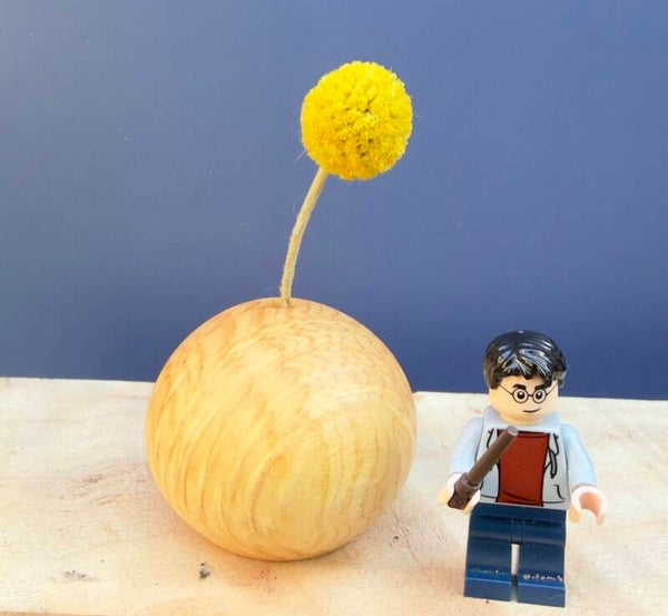 Dried Bud Vase - Figured Monterey Pine