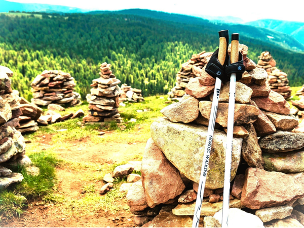 Nordic-Walking-Einführung