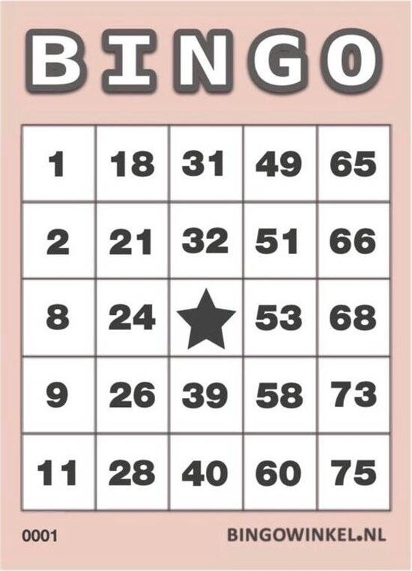 Ticket Bingo-avond