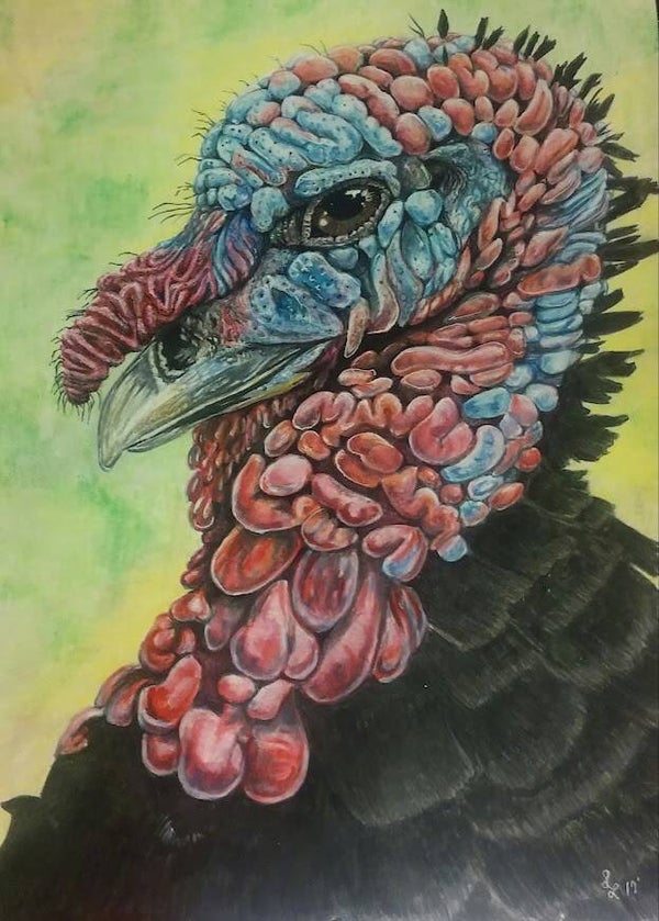 8x11 Drawing