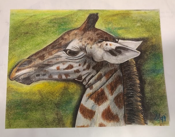 8x11 Drawing