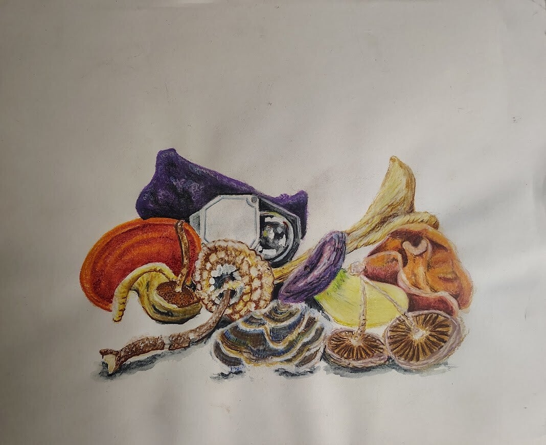 8x11 drawing