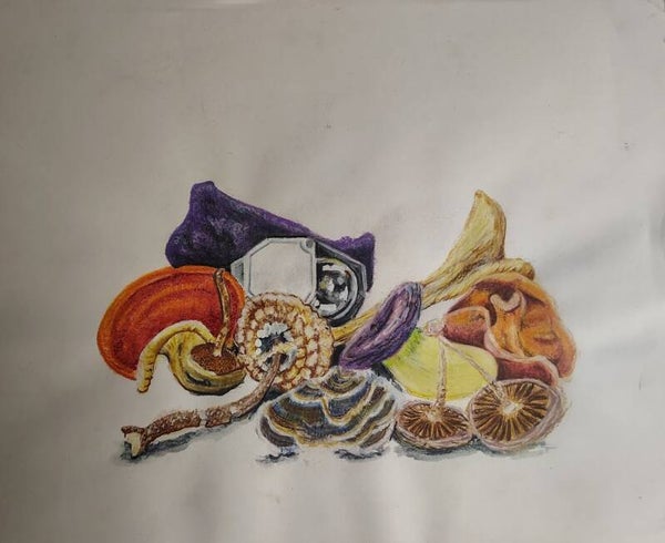 8x11 drawing