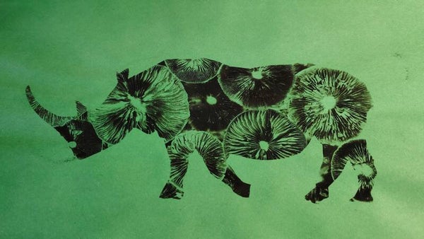 Spore art