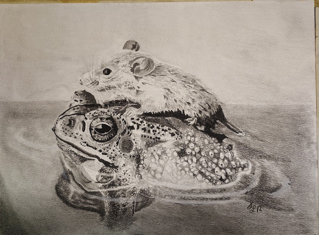 11x15 Drawing