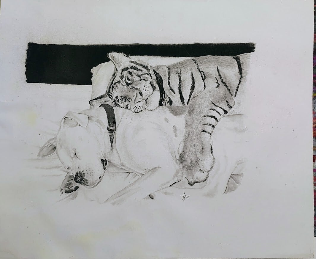 14x17 drawing