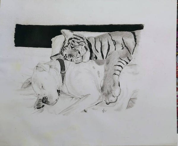 14x17 drawing