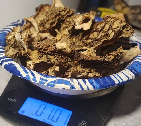 1 oz Morel mushrooms