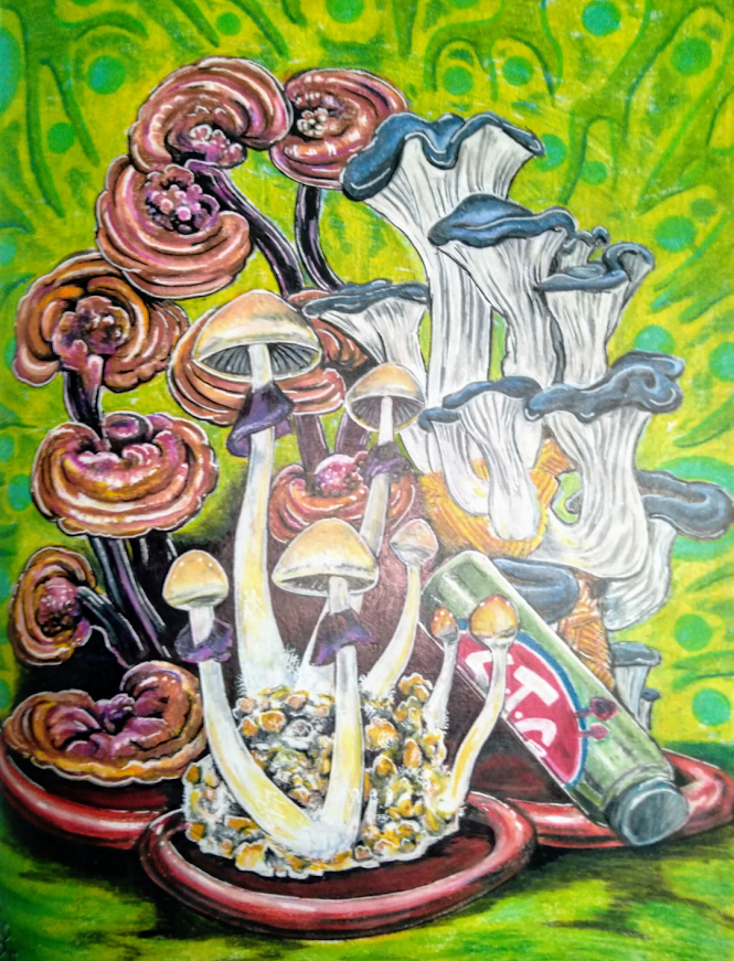 8x11 drawing