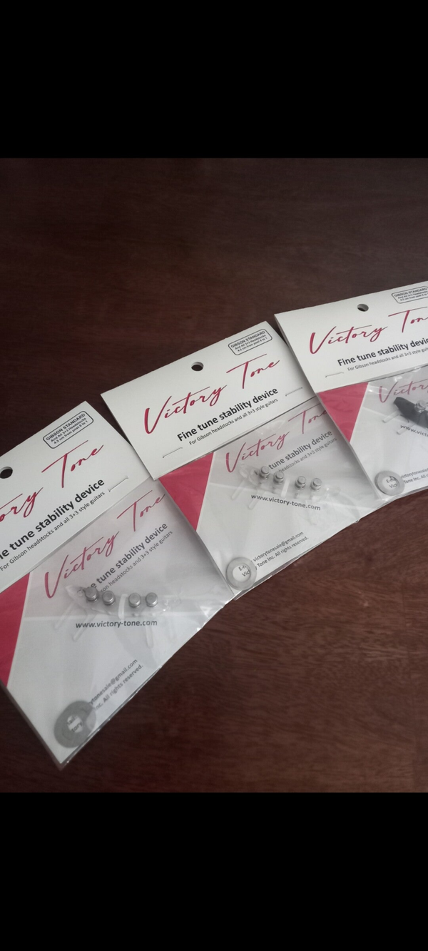 VT-2     ELECTRIC GUITAR PACKAGE