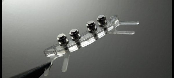 VT-2        ELECTRIC GUITARS