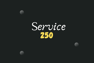 Service 250 - 1 2 mois