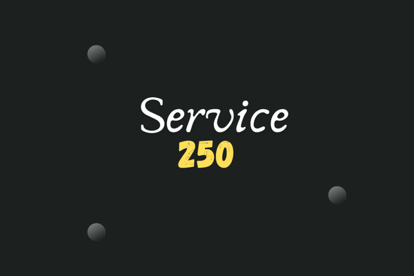 Service 250 - 3 mois