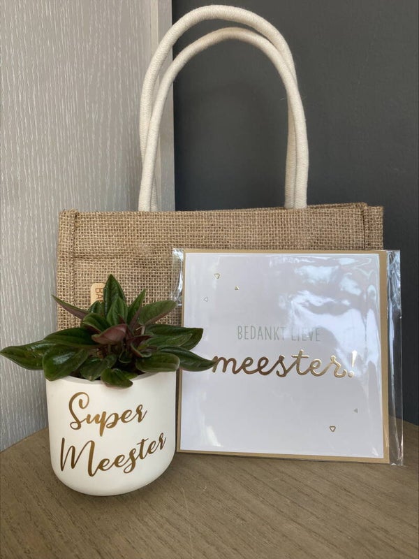 Bedanking Meester 2