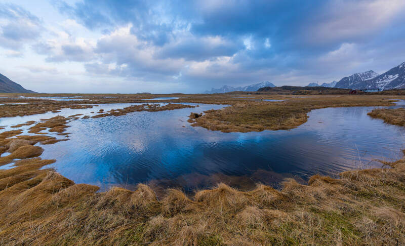 _d810527-bearbeitet-standard.jpg