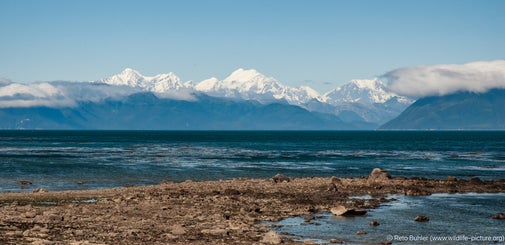 alaska_2006_landschaft_1099-bearbeitet-standard.jpg