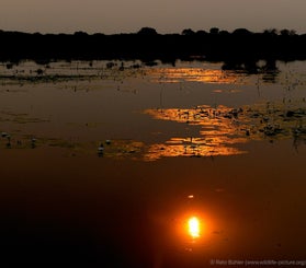 caprivi_expedition_002-standard.jpg
