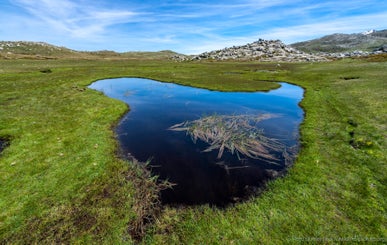 korsika_2017-05_3691-bearbeitet-standard.jpg