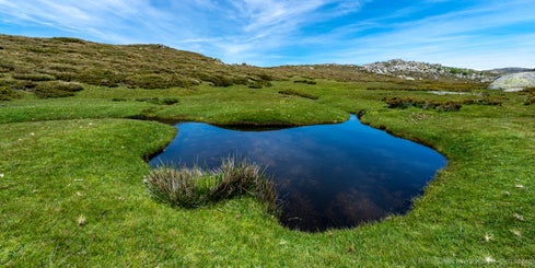 korsika_2017-05_3724-bearbeitet-standard.jpg