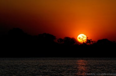 zambia_kafue_001-standard.jpg