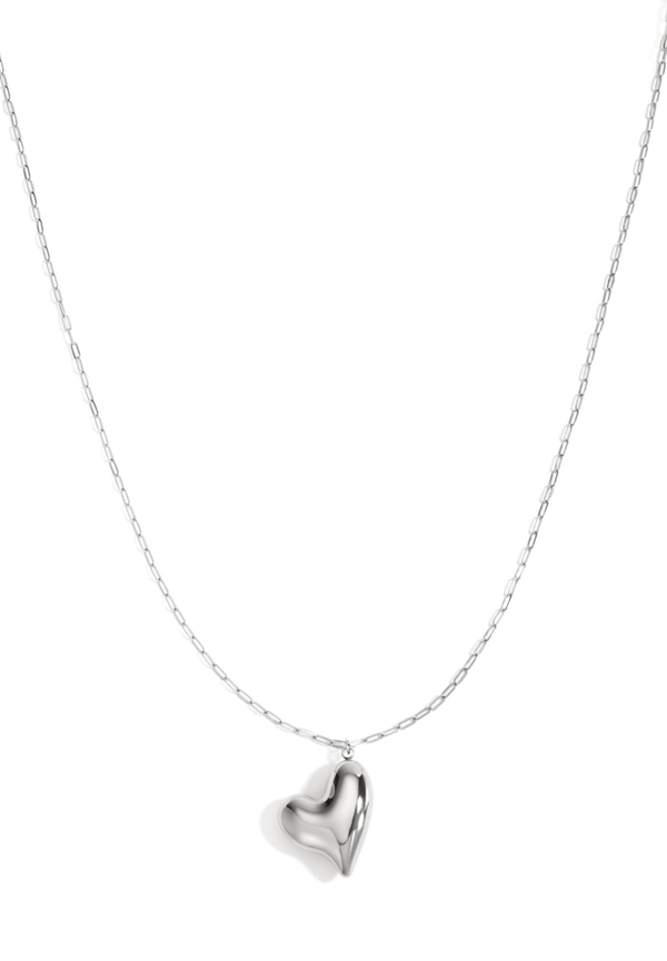 Roestvrijstalen lange ketting met hartje