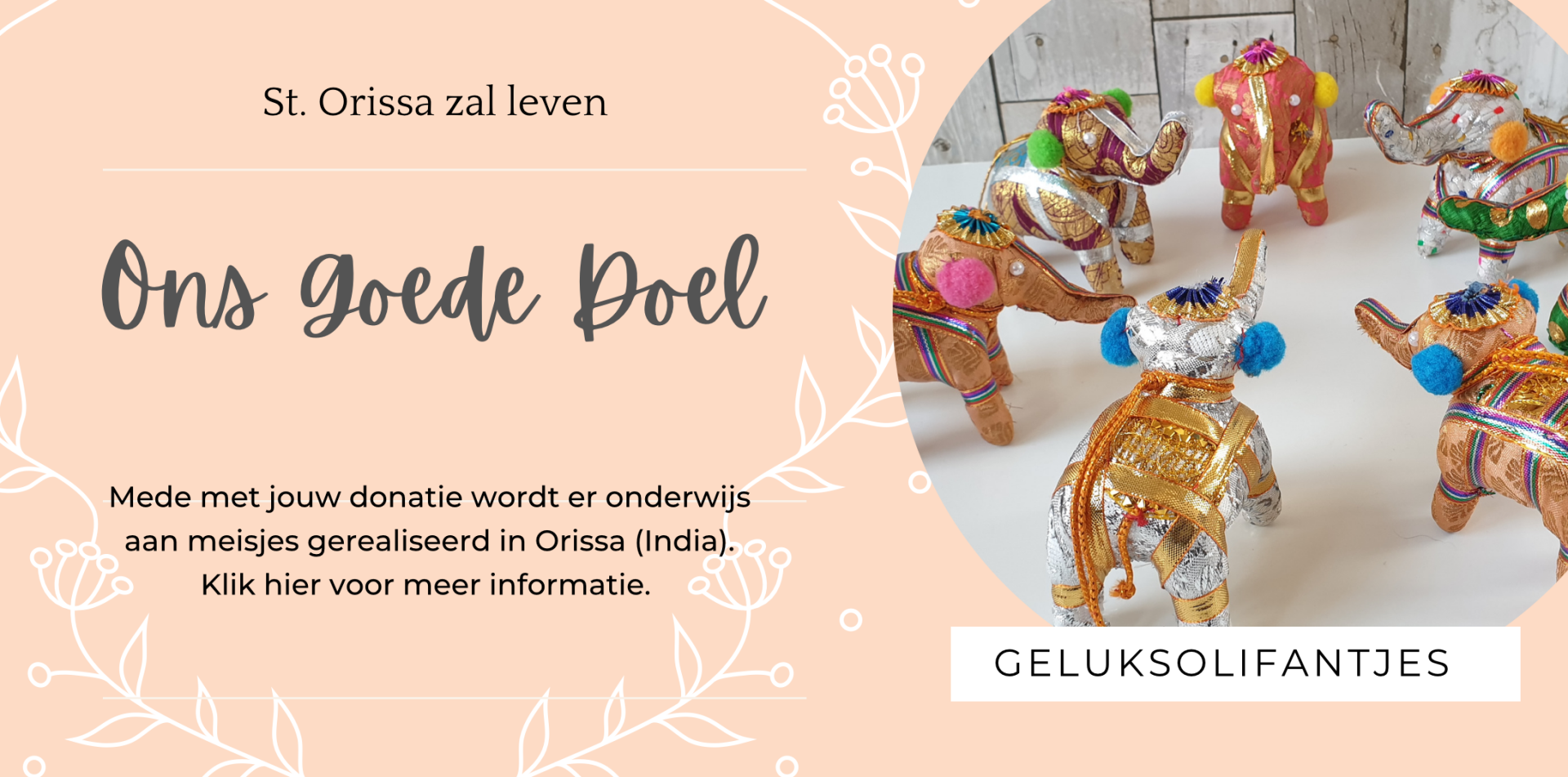 Ons goede doel, als je 5 euro doneert  krijg je een geluksolifant. Het geld komt ten goede aan onderwijs voor meisjes in India