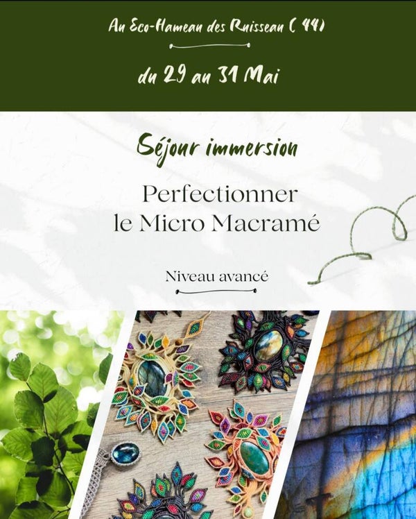 Stage immersion intermédiaire avancé  280 euros