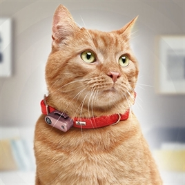 W2-386128 TICKLESS TEEK EN VLO AFWEER VOOR KAT ROSE GOLD