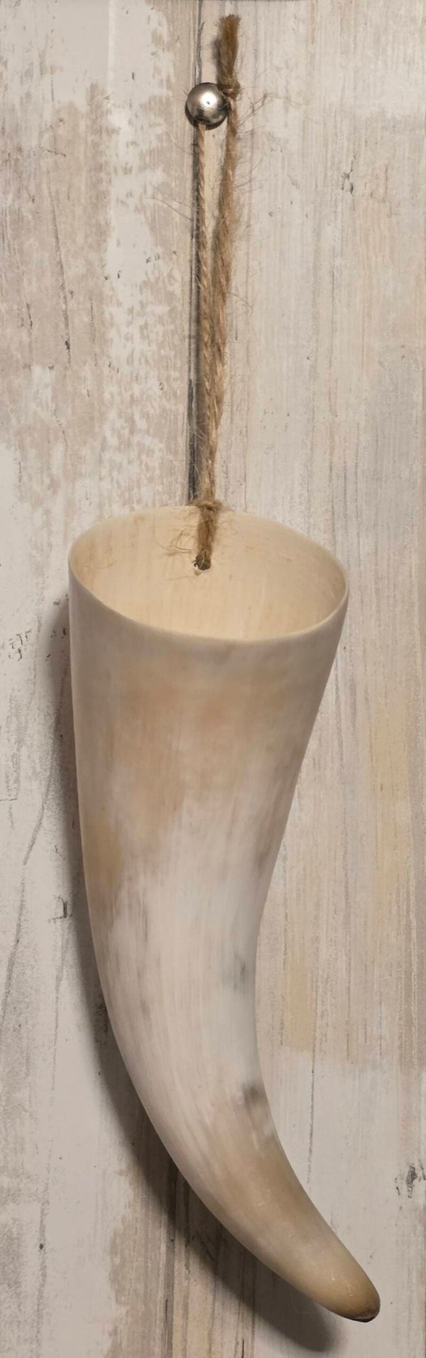 Cow Horn