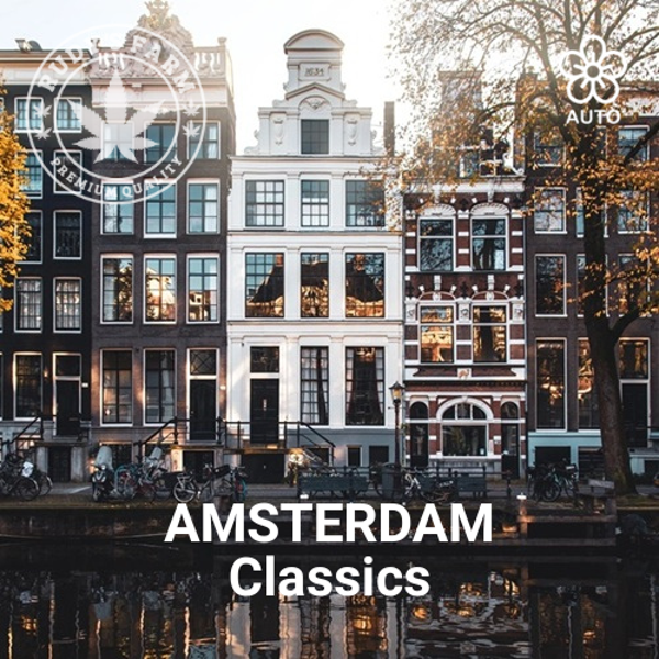 Amsterdam Classics - Autoflowering Mixed Pack