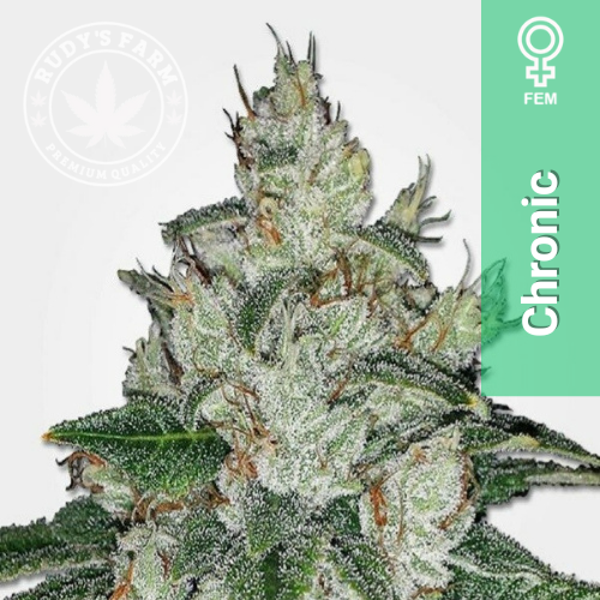 Chronic