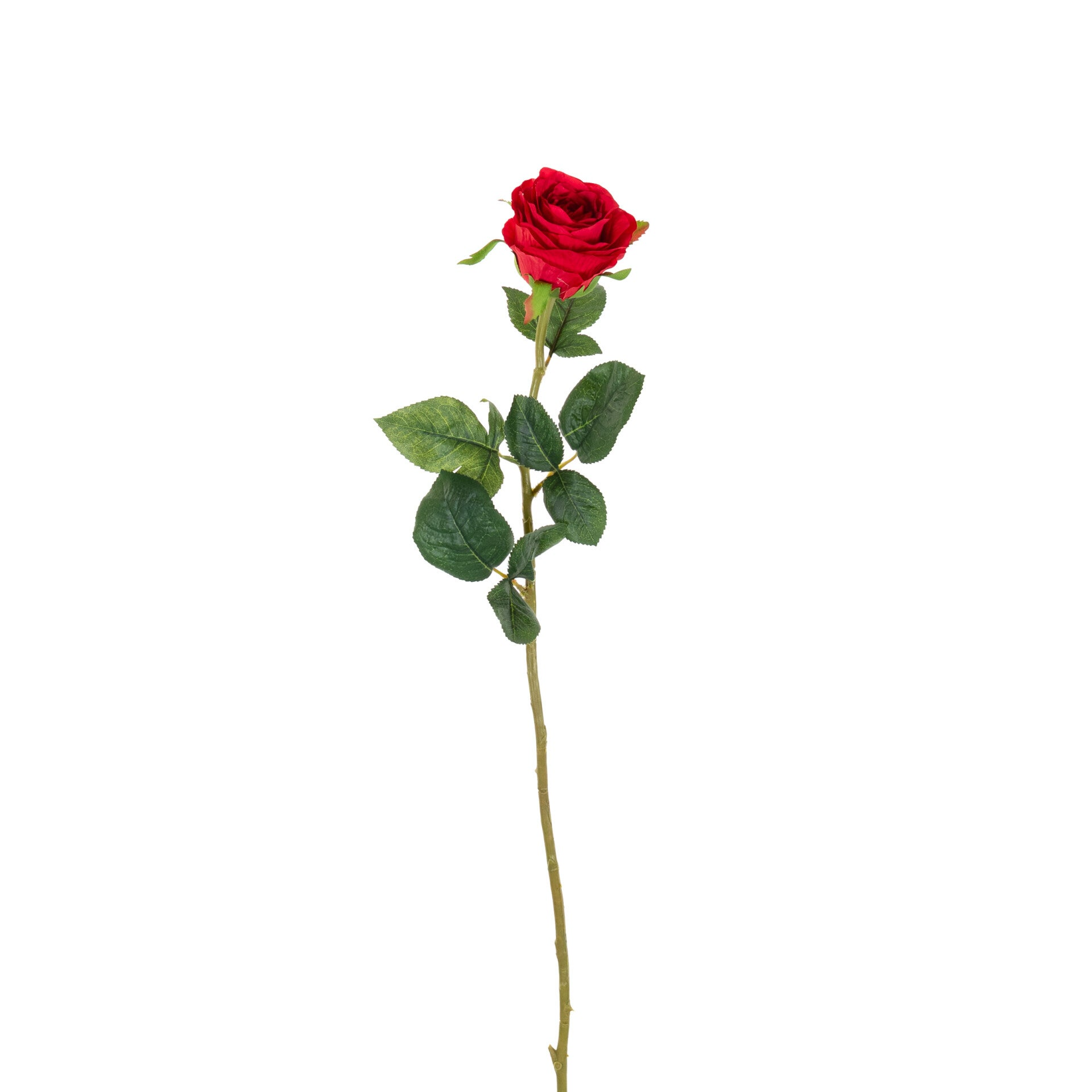 Roos XL rood