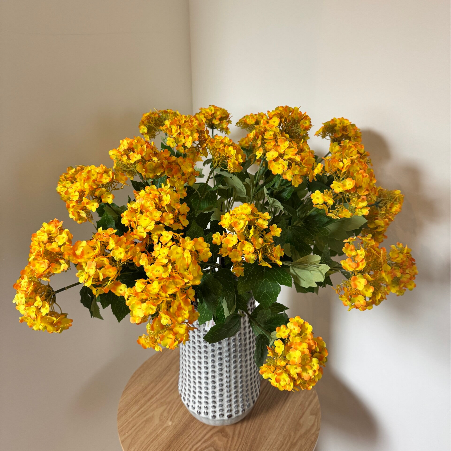 Hortensia