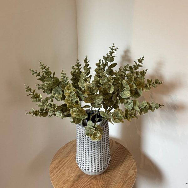 Eucalyptus