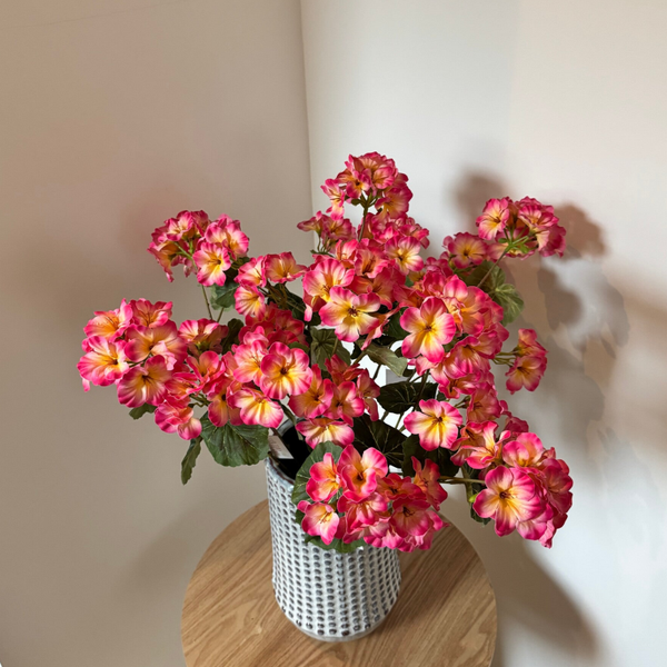 Bloesemtak fuchsia