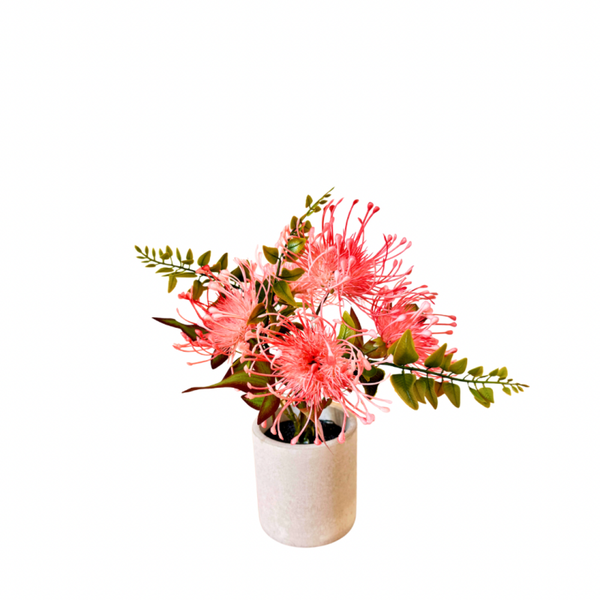 speldenkussen protea plant roze