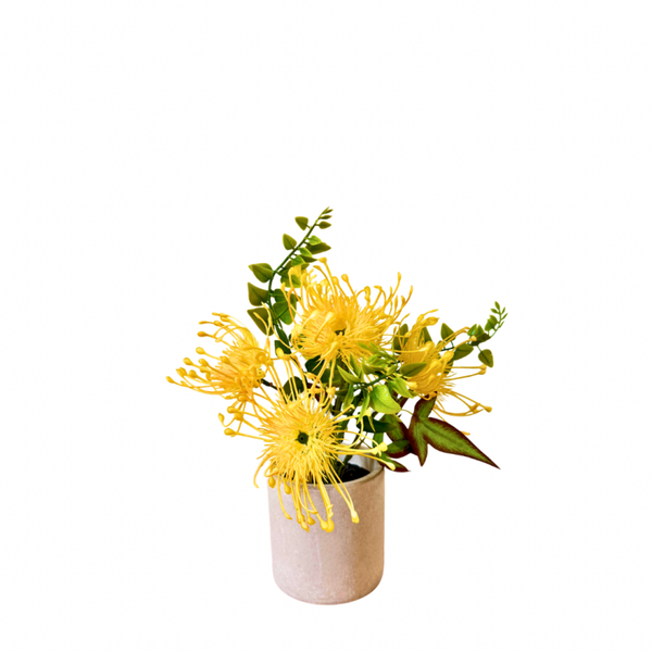 speldenkussen protea plant geel
