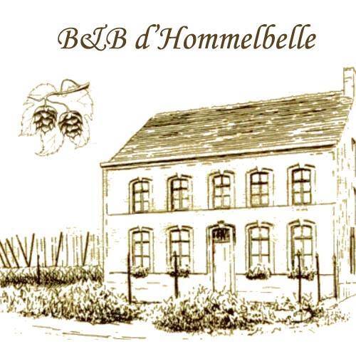 Logo B&B-Hotel d'Hommelbelle