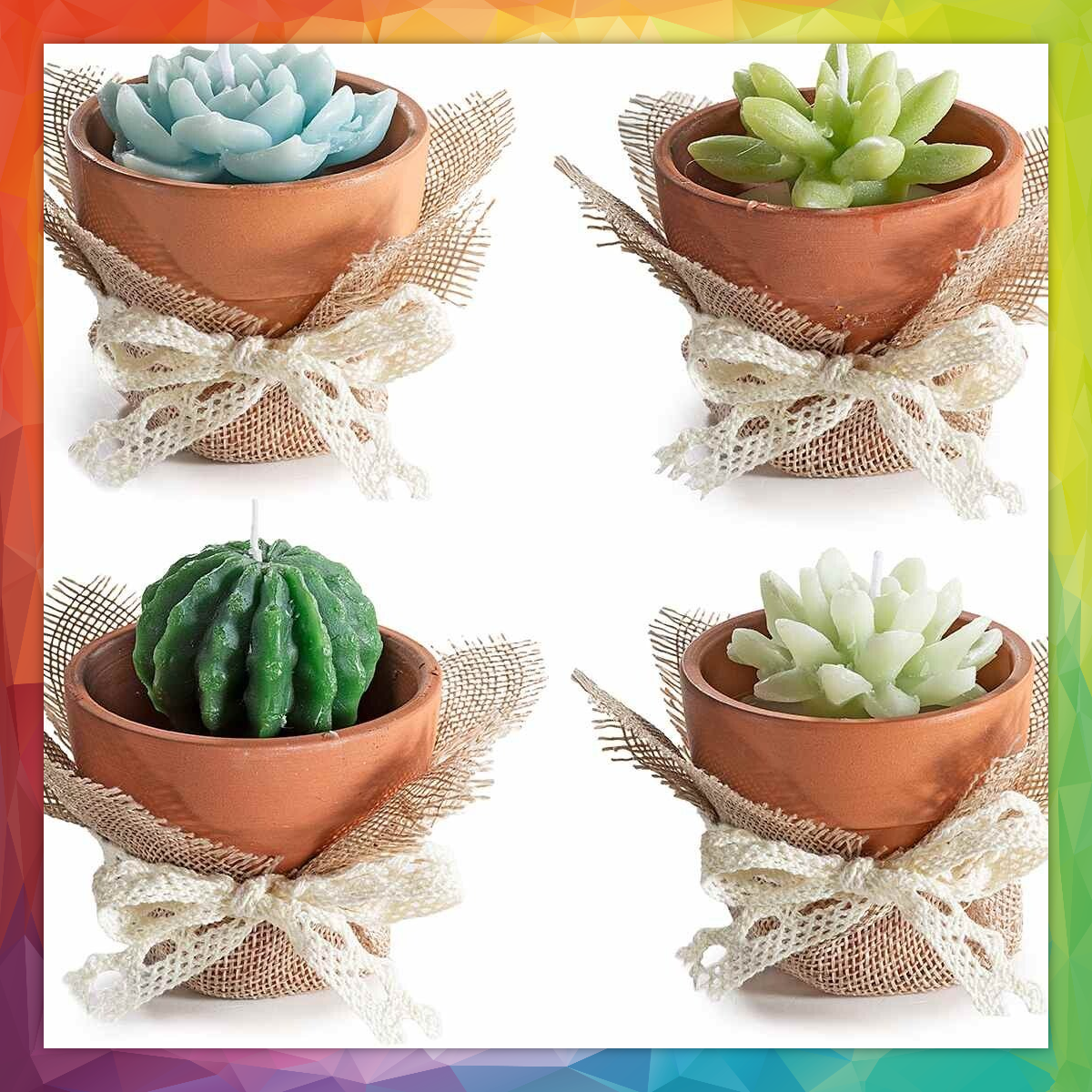 Idea Bomboniera !Candele in vetro /terracotta cactus/floreali