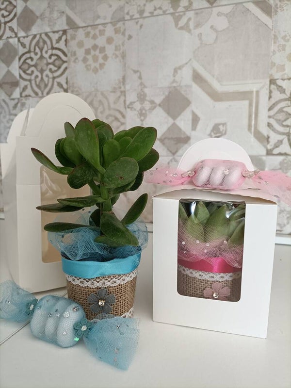 Idea Bomboniera piantina baby con confezione