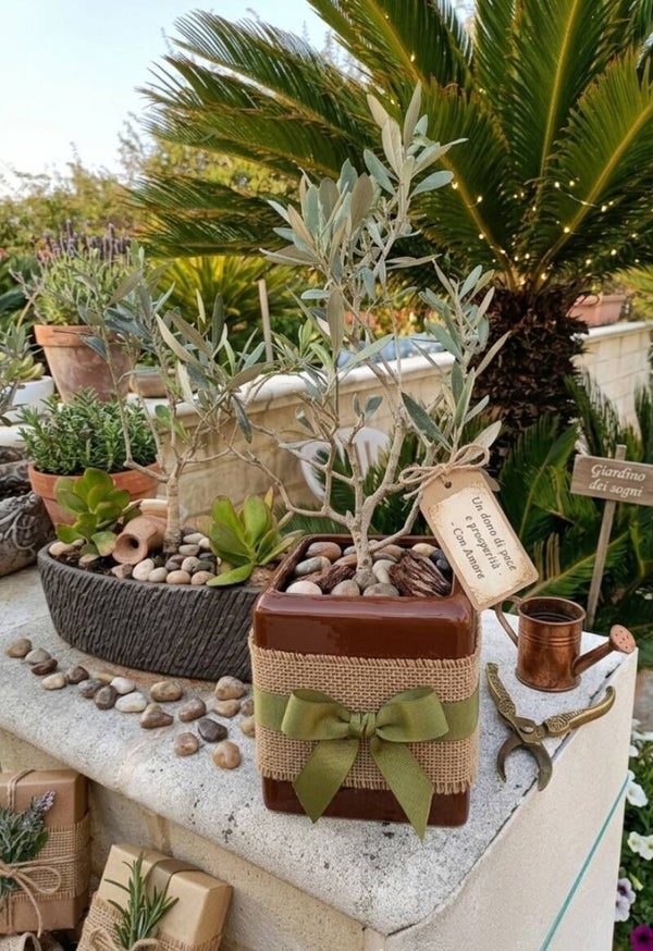 Mini ulivetto Bonsai in ceramica marrone. Idea Bomboniera