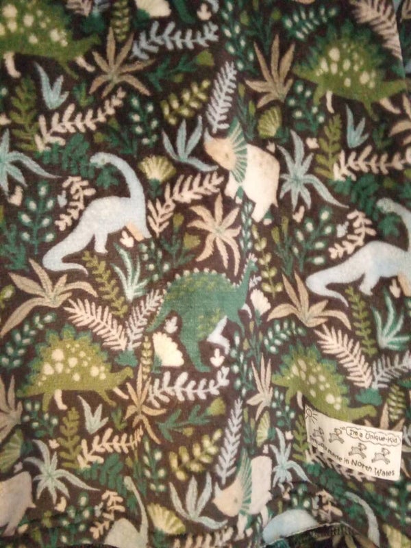 Kids cuddle Fleece black green dino