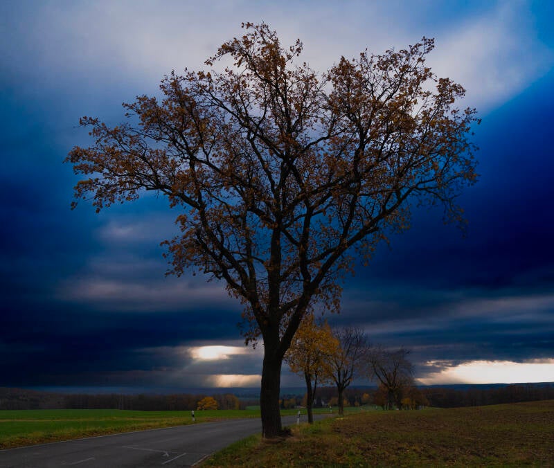 Herbststimmung bei Thonhausen an der Grenze zwischen Sachsen udn Thüringen