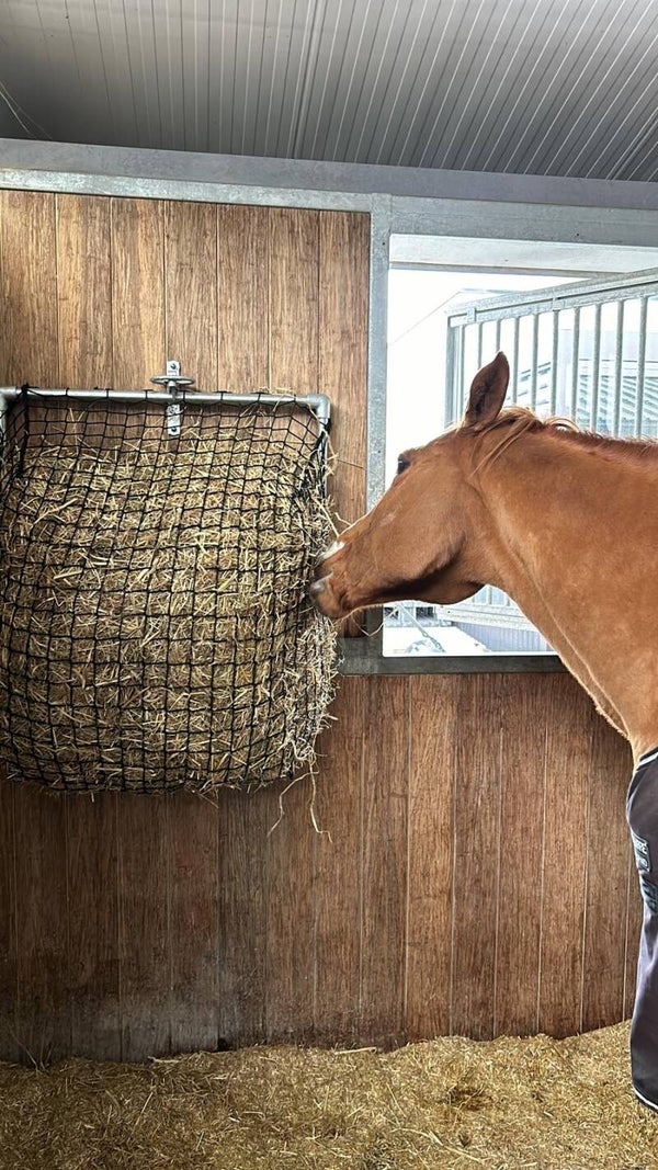 Hooivoeder bak met standaard net
