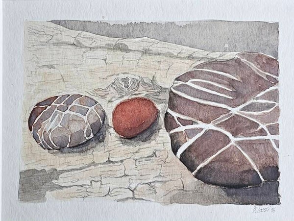 Steine und Schwemmholz
