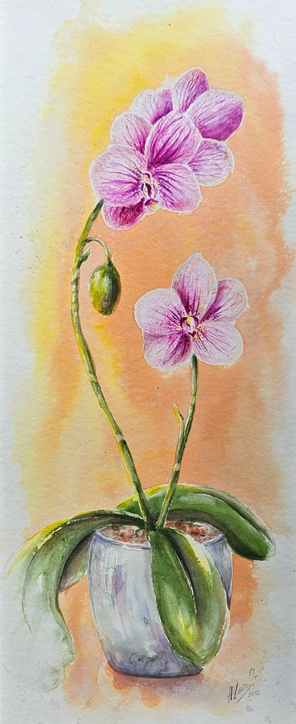 Orchideen