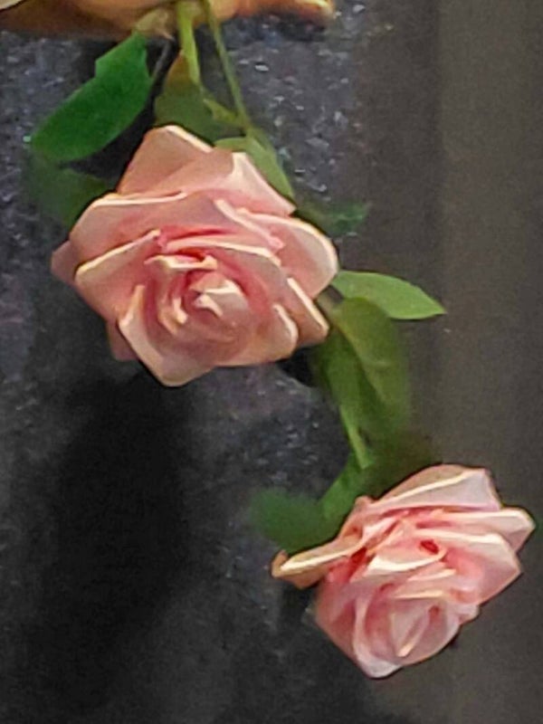CASCADE bouquet ROSES