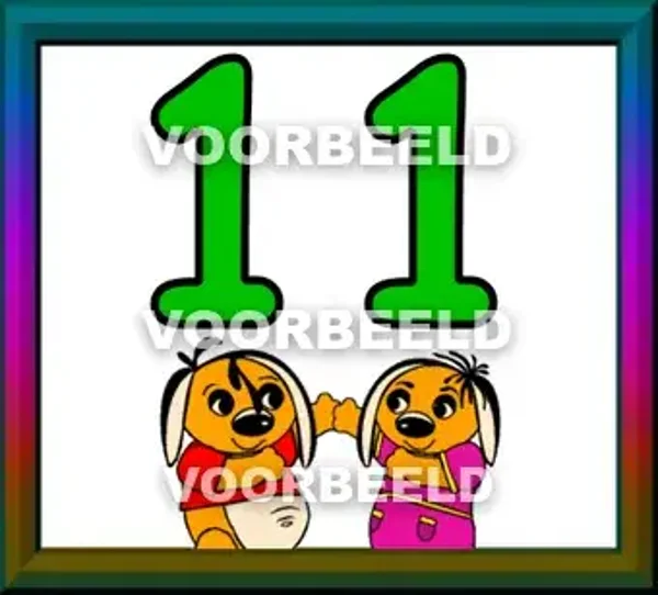11