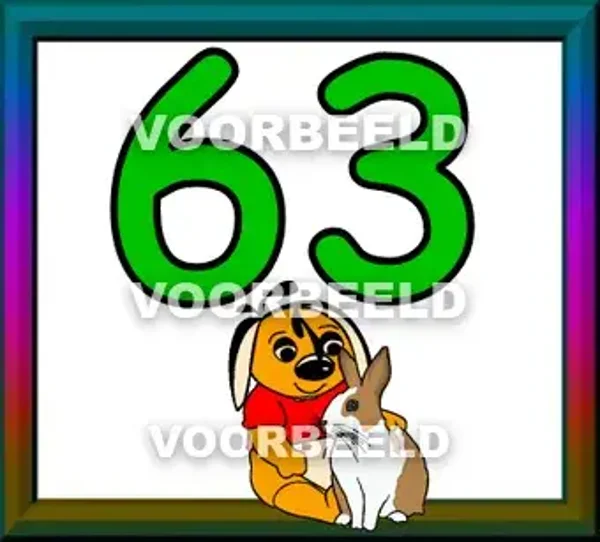 63